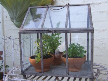 Table top Glass house