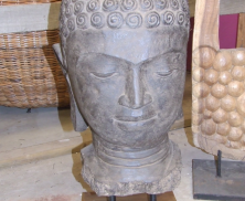 Buddha Head 