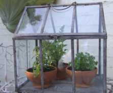Small Glass House with Stand