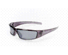 Standard Sunglasses