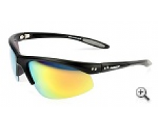 Polarised Sunglasses
