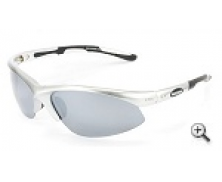 Polarised Sunglasses