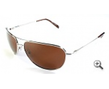 Polarised Sunglasses