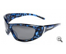 Polarised Sunglasses