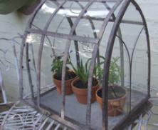 Large Curved Roof Green House